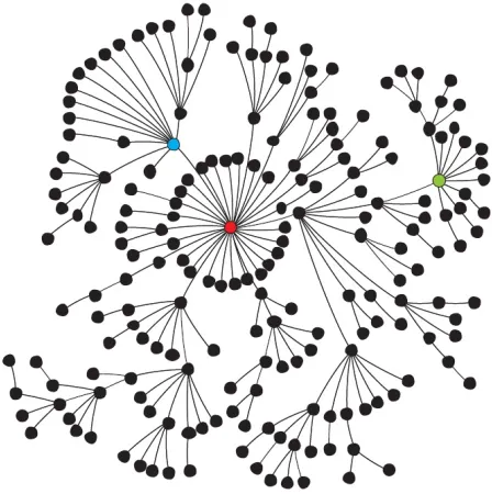 Figure 1.8: Scale Free Network G [9]