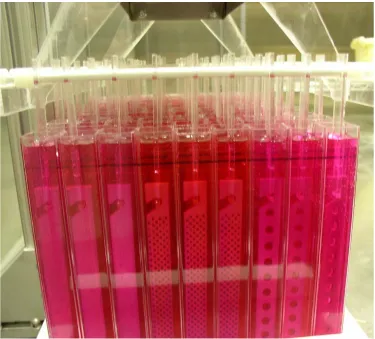 Figure 3-7 Test apparatus and samples immediately after start of test 