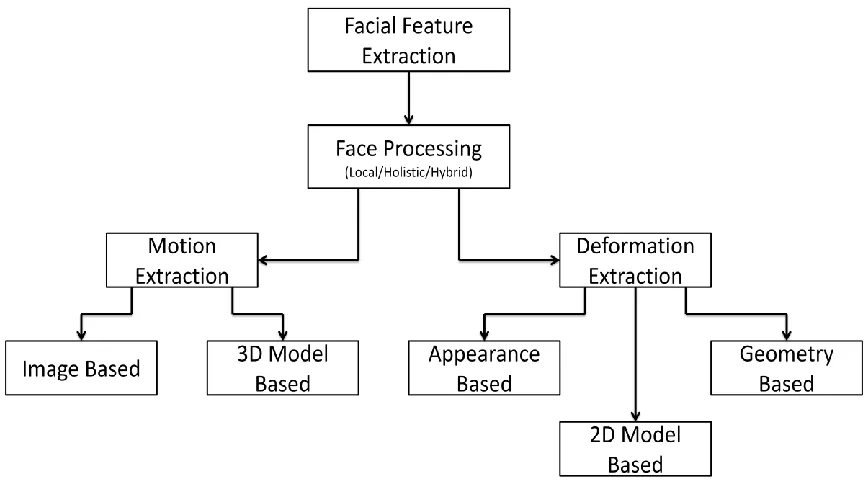 Figure 2.2: Different type of facial feature extraction approaches. 