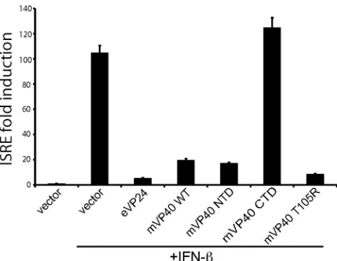 FIG 8 VP40 inhibits ISRE-induced gene expression. In the ISRE reporteran individual experiment performed in triplicate