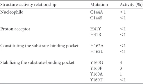 FIG 4 Structural insight into the mutagenesis analysis of the FIPV Mpro activecenter. Surface representation of FIPV Mpro complexed with inhibitor N3