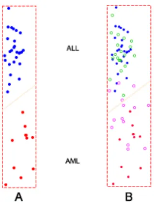 Figure 5: Binary classification of leukemia-A data set. (A) A classifier was built using all 27 ALL and 11 AML training samples.