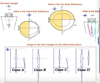 Figure 2. Telestia four shape cases. Image taken from Telestia training module.  