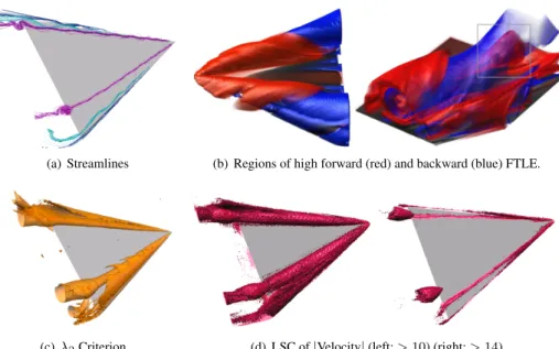 Figure 8: Flow around a delta wing: (a) Important structures are the vortex core-lines and recirculating bubbles [JWSK07]