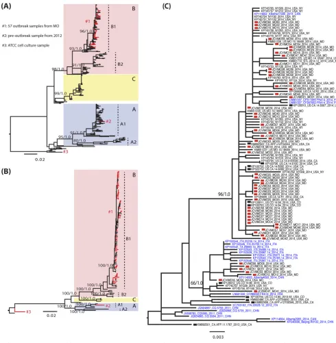 FIG 2 Evolutionary history of the VP1 and complete genome sequences of EV-D68. (A and B) Global ML phylogenies estimated for the VP1 gene (A) and fullgenome sequences (B)