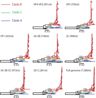 FIG 3 Phylogenetic trees of the complete genome and individual genes of EV-D68. Sequences in different clades are colored as described in the key