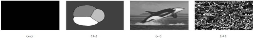 Figure 5: Examples of watershed segmentation by immersion. (a): synthetic image; (b): watershed transform of (a); (c): natural image; (d):  watershed transform of (c)