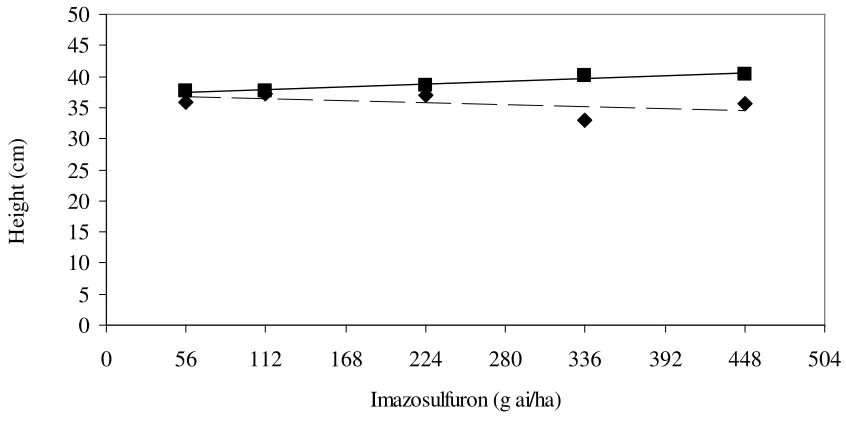 Figure 2.2  Effect of year and imazosulfuron rate on bell pepper height 4 wk after 
