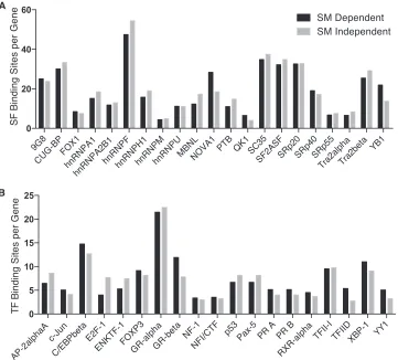 FIG 10 Comparison of predicted splicing factor and transcription factor binding sites between SM-dependent and -independent genes