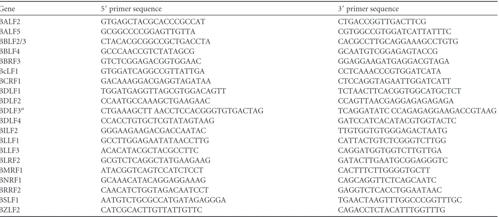 TABLE 1 Primers used for qPCR