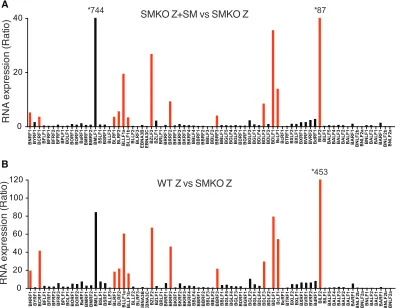 FIG 6 Comparison of EBV RNA transcriptome in the presence or absence of SM analyzed with an expectation maximization algorithm