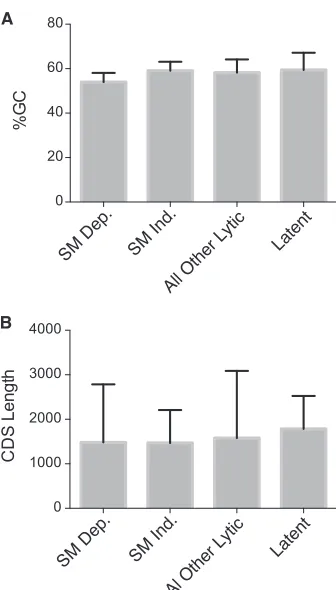 FIG 7 The coding domain of each gene was cloned into pCDNA3 expressionvector and transfected into HeLa cells with either empty vector (C) or SM.RNAs were analyzed by Northern blotting using gene-speciﬁc probes, asshown above each panel