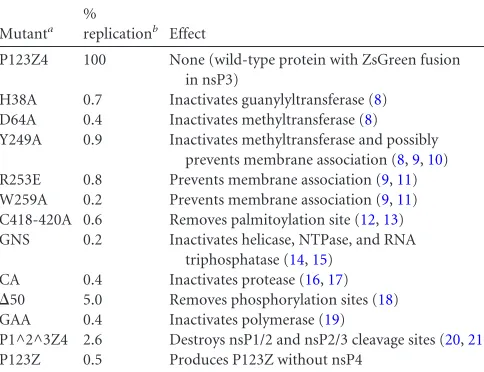 TABLE 1 The luciferase levels produced by the mutants during trans-replication, together with the sources and known effects of themutations