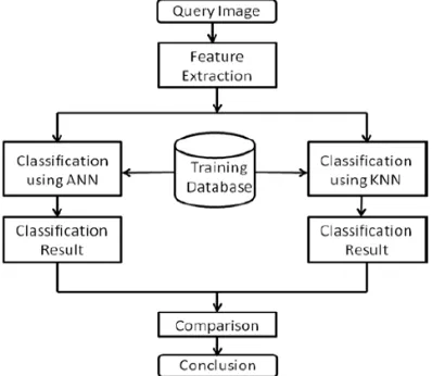 Fig 4. Complete System Model 