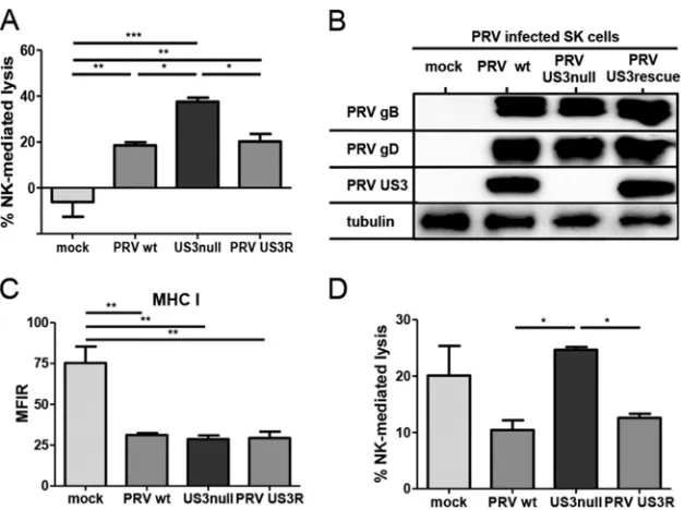 FIG 1 US3 suppresses the susceptibility of PRV-infected cells to porcine and human NK cell-mediated lysis