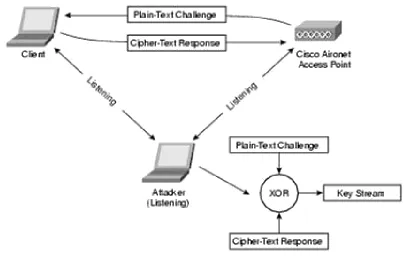 Fig 5: Authentication Vulnerabilities   