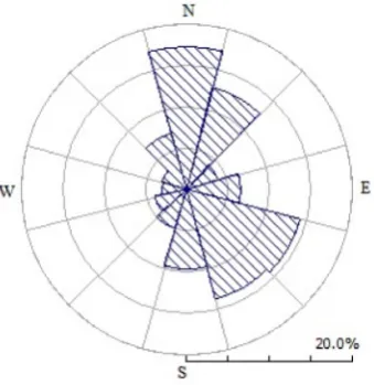 Figure 2. Wind rose.