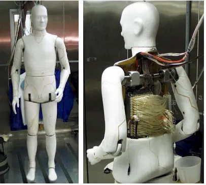 Figure 3.1:  Sweating Manikin          Figure 3.2:  Rear View of Manikin’s Inner                                                  Components