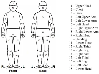 Figure 3.3:  Front and Back Views of the Sweating Manikin showing Labeled 