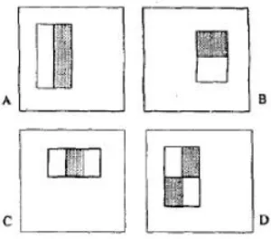 Figure 5: Rectangle features use in Haar-cascade 