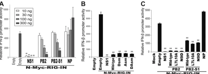FIG 7 PB2-S1 interferes with the RIG-I-dependent IFN signaling pathway. (A) Inhibition of the RIG-I-dependent IFN signaling pathway by PB2-S1