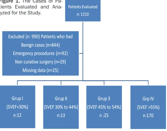 Figure 1. The Cases of Pa-tients Evaluated and Ana-