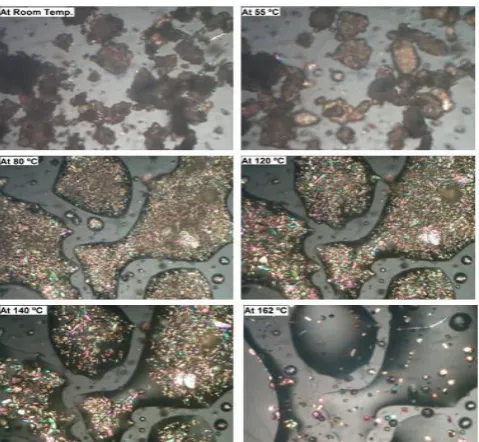 Figure 4: FT-IR charts of paracetamol and its solid dispersions prepared by solvent evaporation using different carriers at a 1:1 ratio (SE= Eudragit, SM mannitol, SP= PEG, SH =HPMC and SV= PVP)