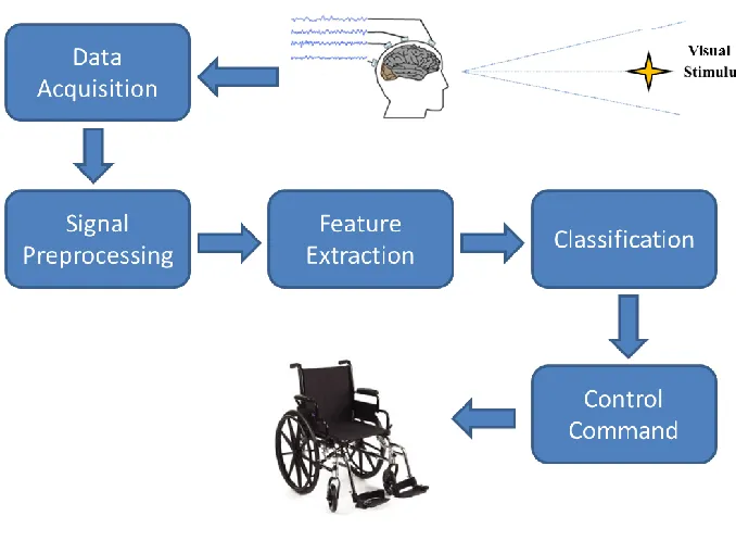 Figure 1.6  SSVEP BCI framework 