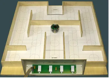 Figure 1.8  SSVEP BCI navigation system 