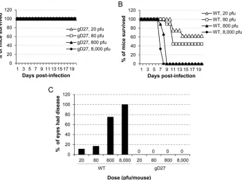 FIG 2 HSV2-gD27 is attenuated in the mouse ocular model. Corneas of mice (6 to 10 animals per group) were scariﬁed and infected with HSV2-gD27 (gD27)(A) or WT HSV-2 (B) at the doses indicated (the PFU was based on the virus titer in B78H1-A10 cells), and a