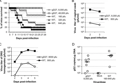 FIG 4 HSV2-gD27 is attenuated when inoculated intravaginally. Groups of 10 mice each received medroxyprogesterone acetate s.c