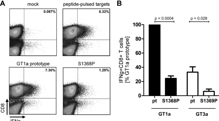 FIG 3 CD8and compared to the response against other targets as indicated. The data represent results from at least three independent experiments