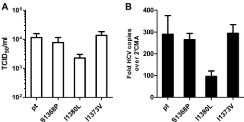 FIG 5 Infectivity and replication of wild-type and mutant TNcc strains. RNAtranscripts of the parental HCV TN genome and TN mutants were transfectedinto Huh-7.5 cells