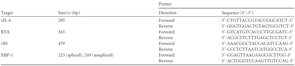 TABLE 1 Primers used in RT-PCR
