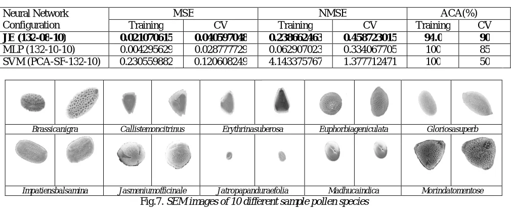 Fig. 8. Scatter Plot of Image Feature Vs Energy