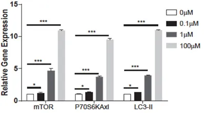 Figure 3. Western Blotting was used to evaluate the function of RSV inhibiting theprotein expression of inflammation related genes and activated autophagy related genes