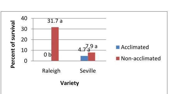 Figure 5. Effect of cold acclimation on variety survival after freezing at -2oC. Values followed by the same letter were not significantly different from each other at the 5% level
