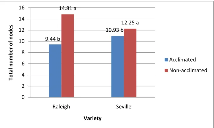 Figure 6. Effect of the interaction of cold acclimation and variety on plant growth, measured as total number of nodes per stolon after two weeks of acclimation