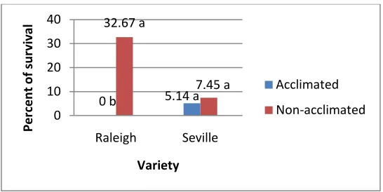 Figure 8. Effect of cold acclimation on freezing survival of St. Augustinegrass cvs. Raleigh and Seville considering whole stolon performance