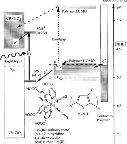 Fig. 4 for P3PUT). Given the straight line obtained in the plots, the assumption is valid, and these measurements yielded bandgaps of 1.9 and 2.0 eV for P3PUT and P3UBT [31], respectively
