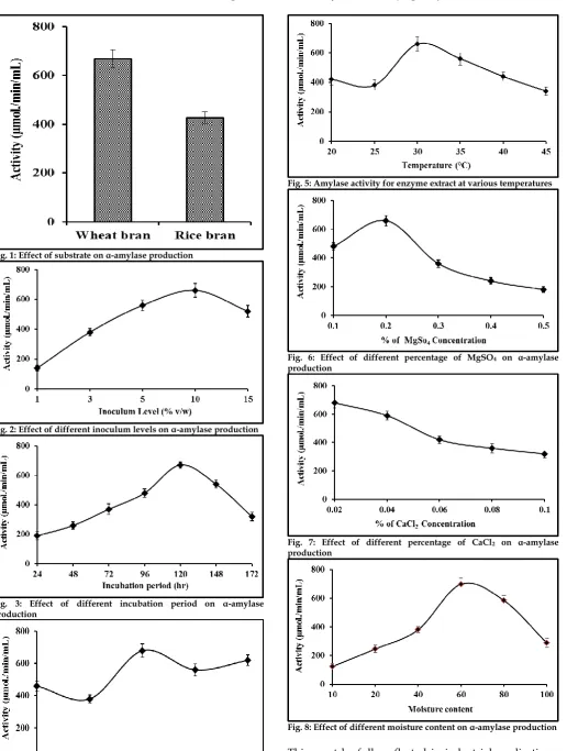 Fig. 8: Effect of different moisture content on α-amylase production  