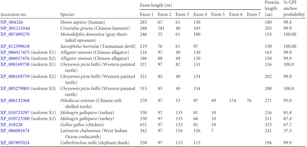 TABLE 1 Tetherin orthologs from mammals, reptiles, and ﬁshesa