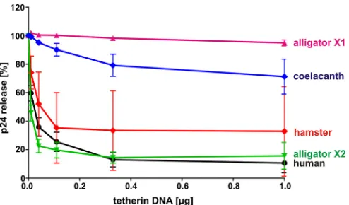 FIG 4 Restriction of HIV-1 release by human, hamster, alligator, and coela-canth tetherin