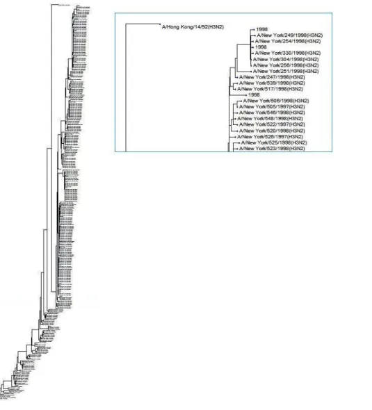 Figure 1. An full-resolution tree built using the neighbor-joining method for 380 HA protein se- se-quences for Influenza A H3N2 viruses extracted from human hosts during 1968-1998