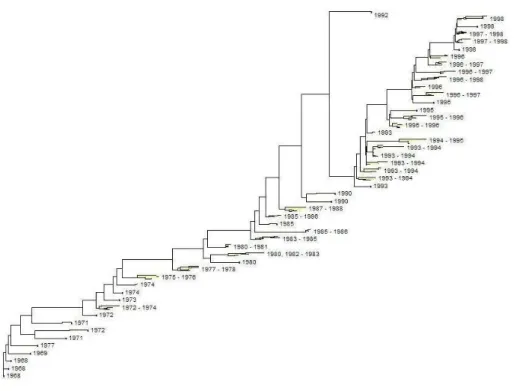 Figure 2. An aggregated tree built for the same dataset as in Figure 1 (from the same full tree calcu- calcu-lated using the neighbor-joining method).