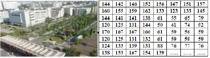 Table 1: Binary data. 