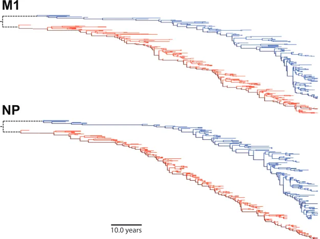 FIG 2 Distribution of CD8 T-cell epitopes in M1 and NP. The numbers ofunique experimentally identiﬁed CD8� T-cell epitopes to which each site con-tributes for M1 and NP are shown.
