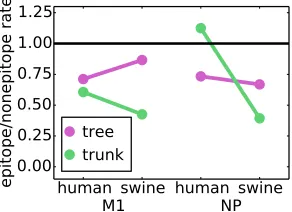 FIG 3 Conventionalenrichment in sites with a dN/dS tests do not detect positive selection in T-cell epitopes