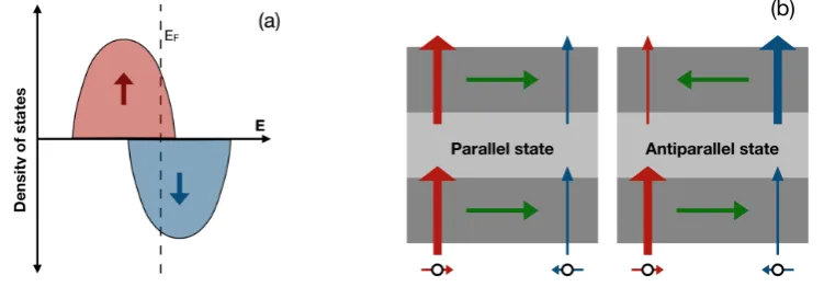 Figure 1.1: (a) Graphic representation of the density of states of a ferromagnet
