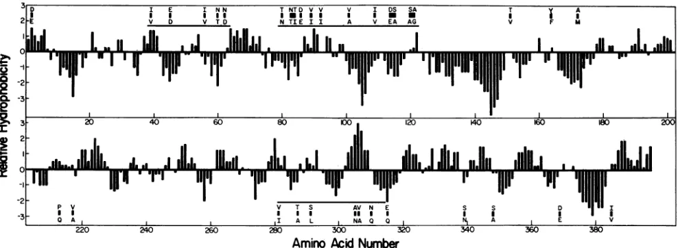 FIG. 3.generatedindicatedshownhydrophobicitychanges Amino acid substitutions found between subgroup 1 (SAil) and subgroup 2 (Wa) rotaviruses